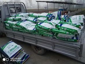 非瘟時代，裝卸品質 守護養殖安全的堅實防線